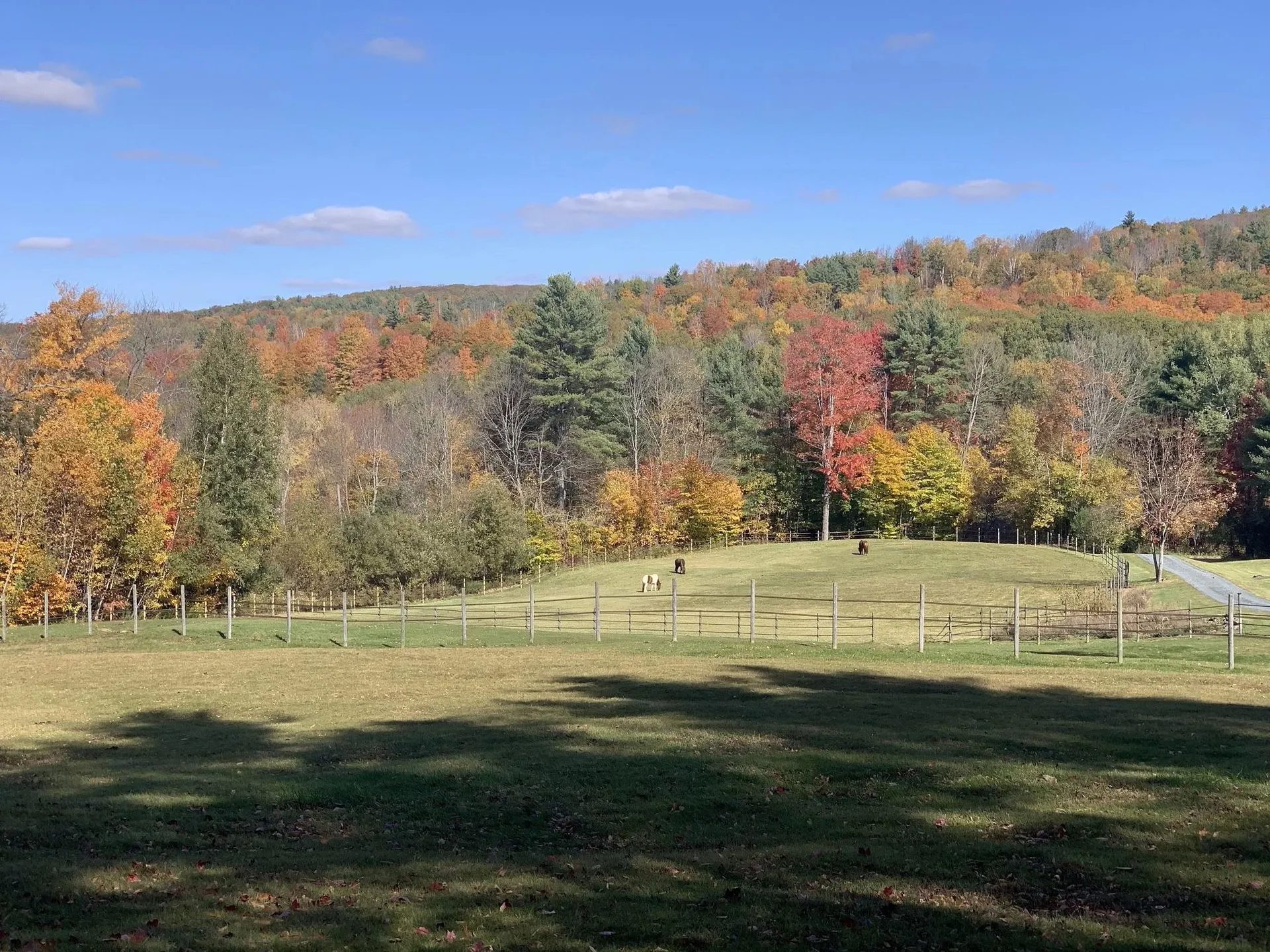 187 Hartland Hill Road Hartland VT 05091