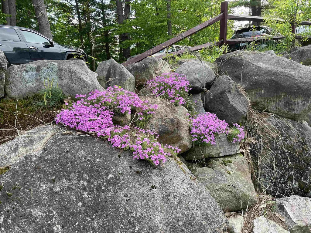 124 Chickville Road Ossipee NH 03864