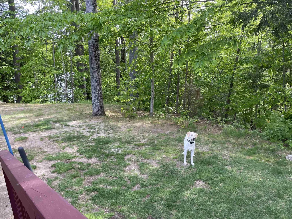 124 Chickville Road Ossipee NH 03864