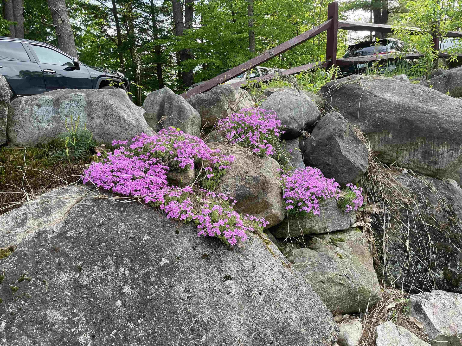 124 Chickville Road Ossipee NH 03864