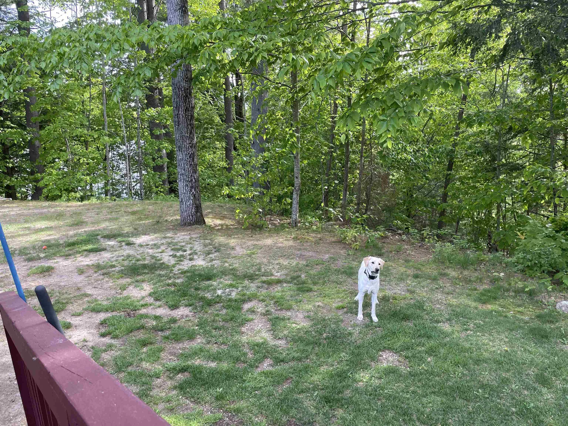 124 Chickville Road Ossipee NH 03864