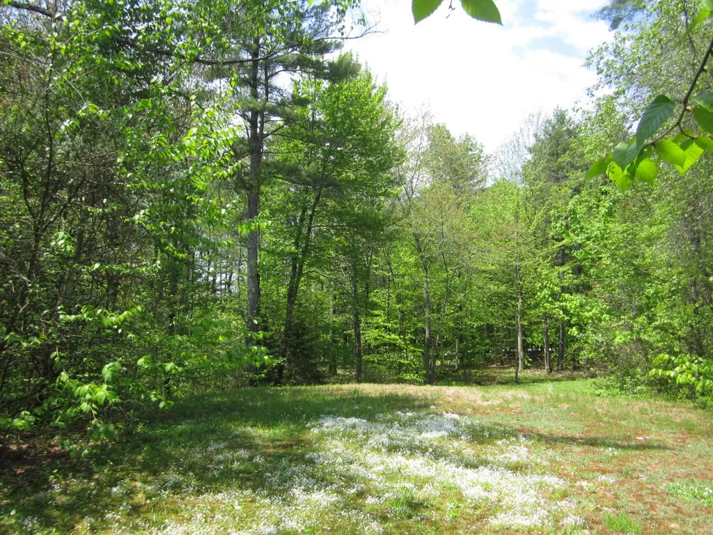 21 Quail Run New London NH 03257