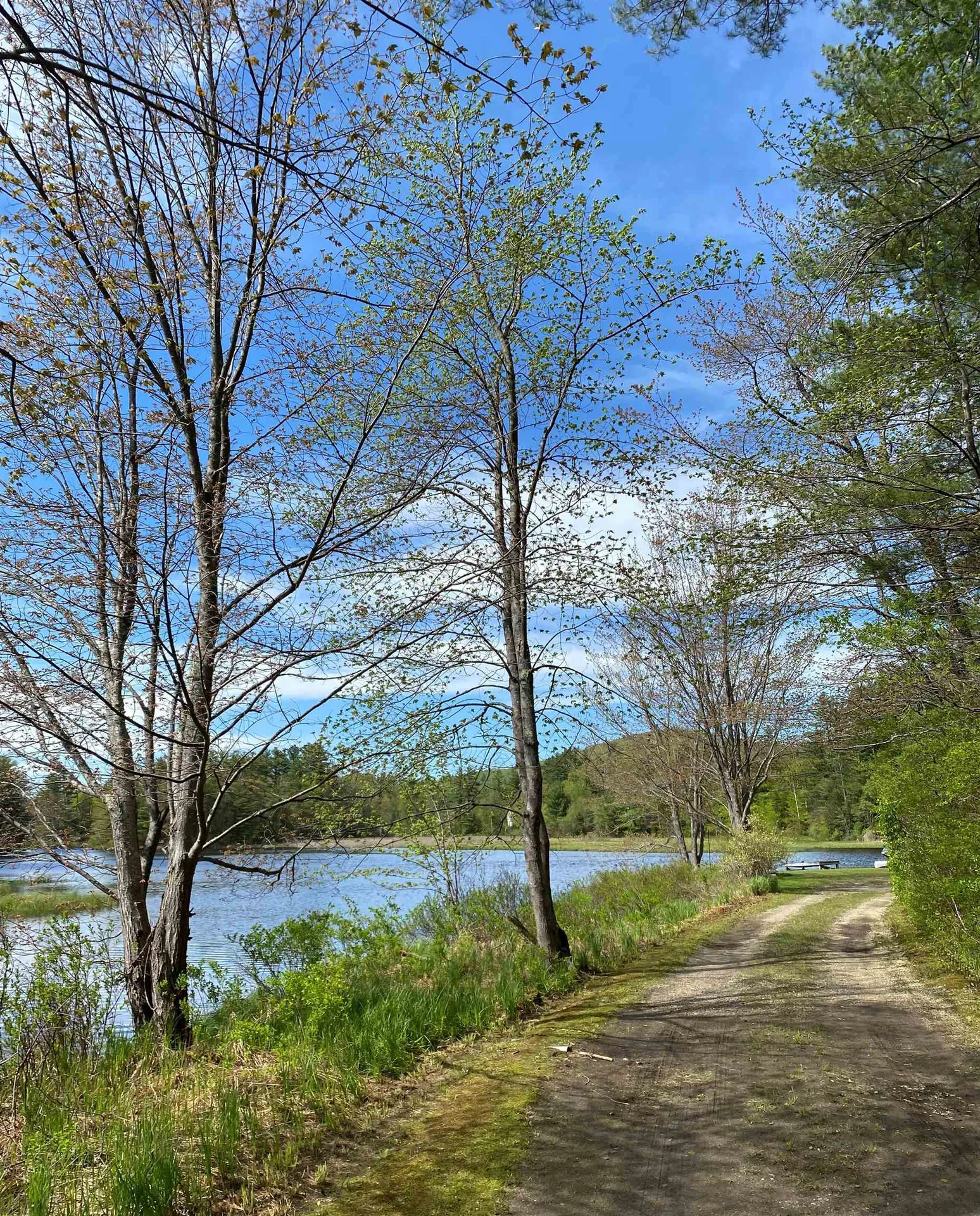 10 Murdough Road Stoddard NH 03464