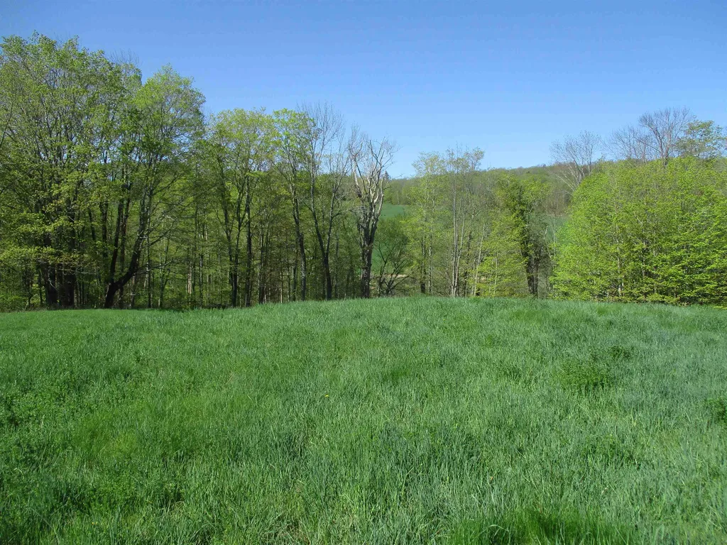 0 Momsen Road Tunbridge VT 05077