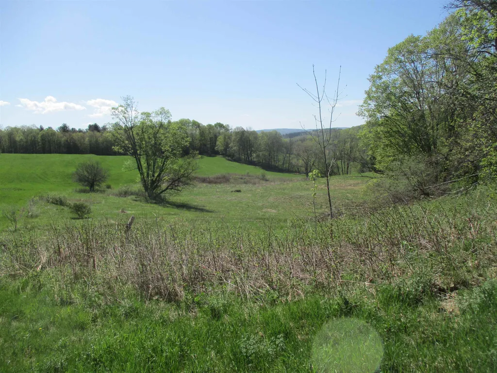0 Momsen Road Tunbridge VT 05077