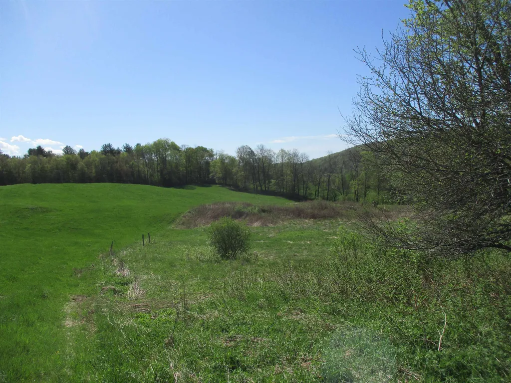 0 Momsen Road Tunbridge VT 05077