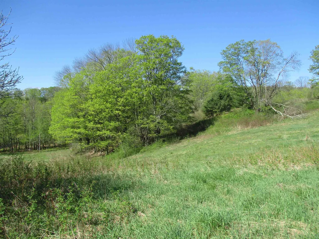 0 Momsen Road Tunbridge VT 05077