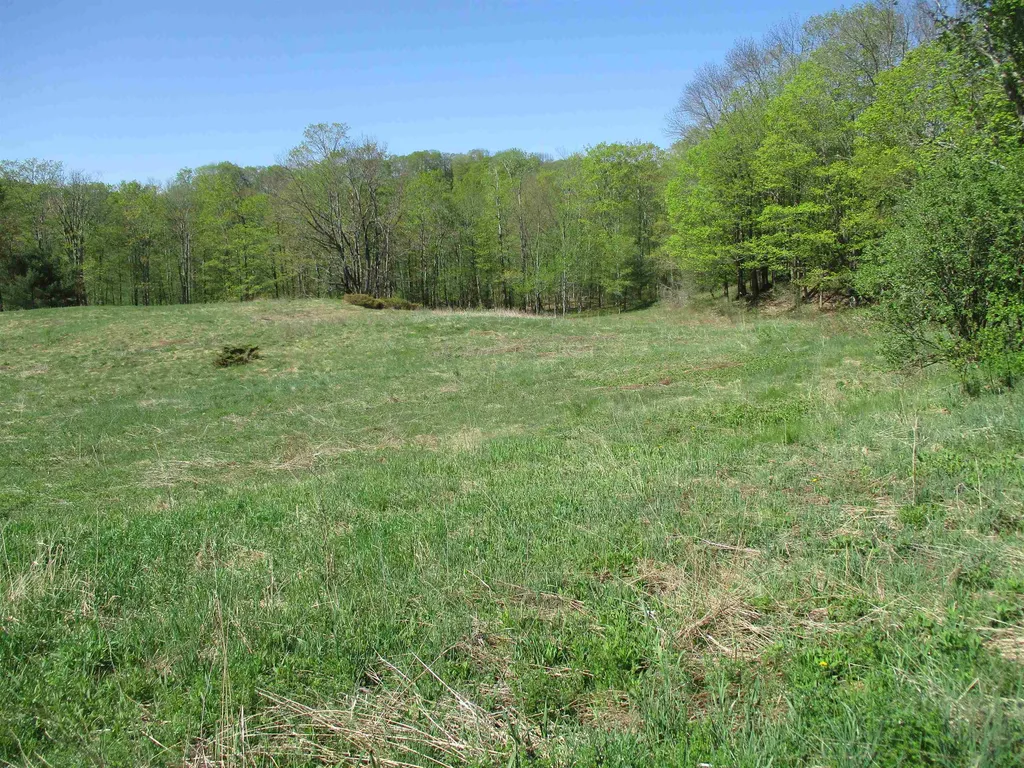 0 Momsen Road Tunbridge VT 05077