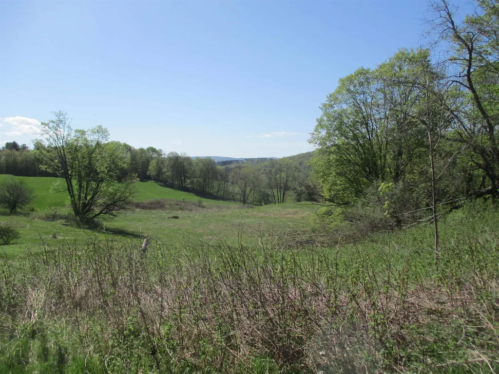 0 Momsen Road Tunbridge VT 05077