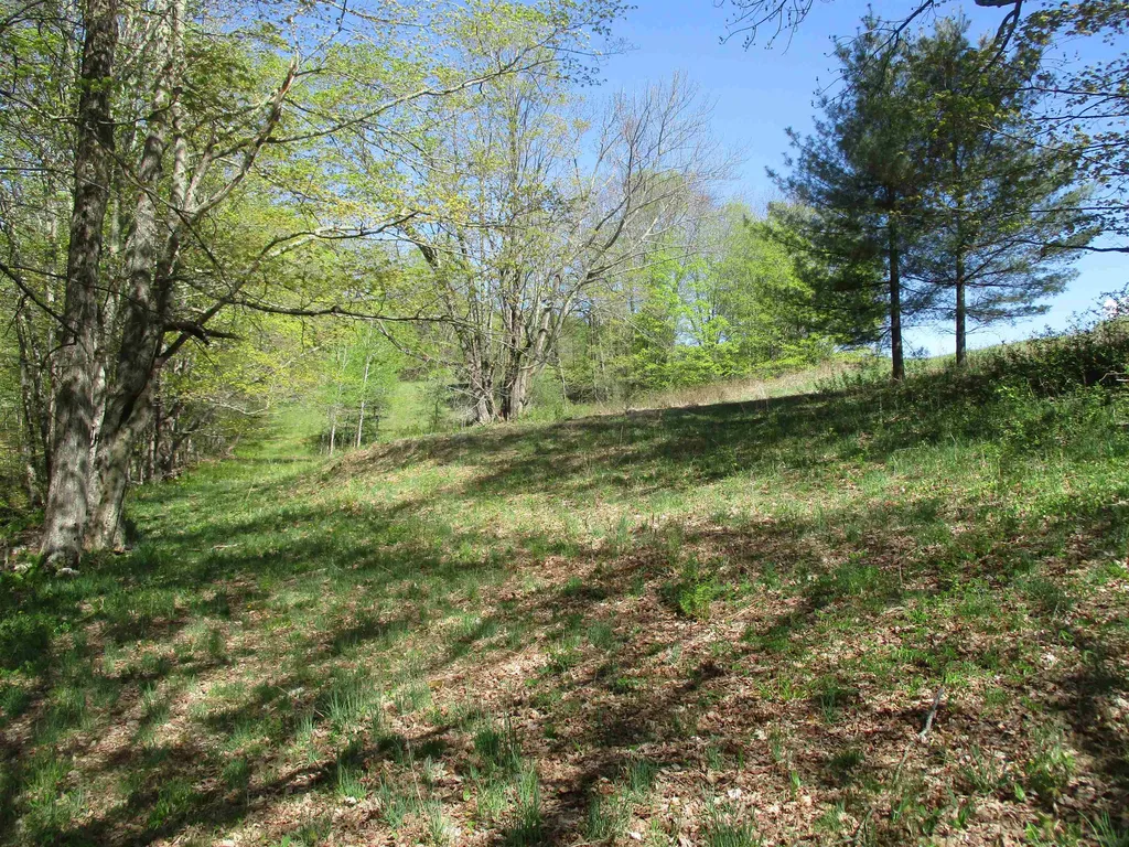 0 Momsen Road Tunbridge VT 05077