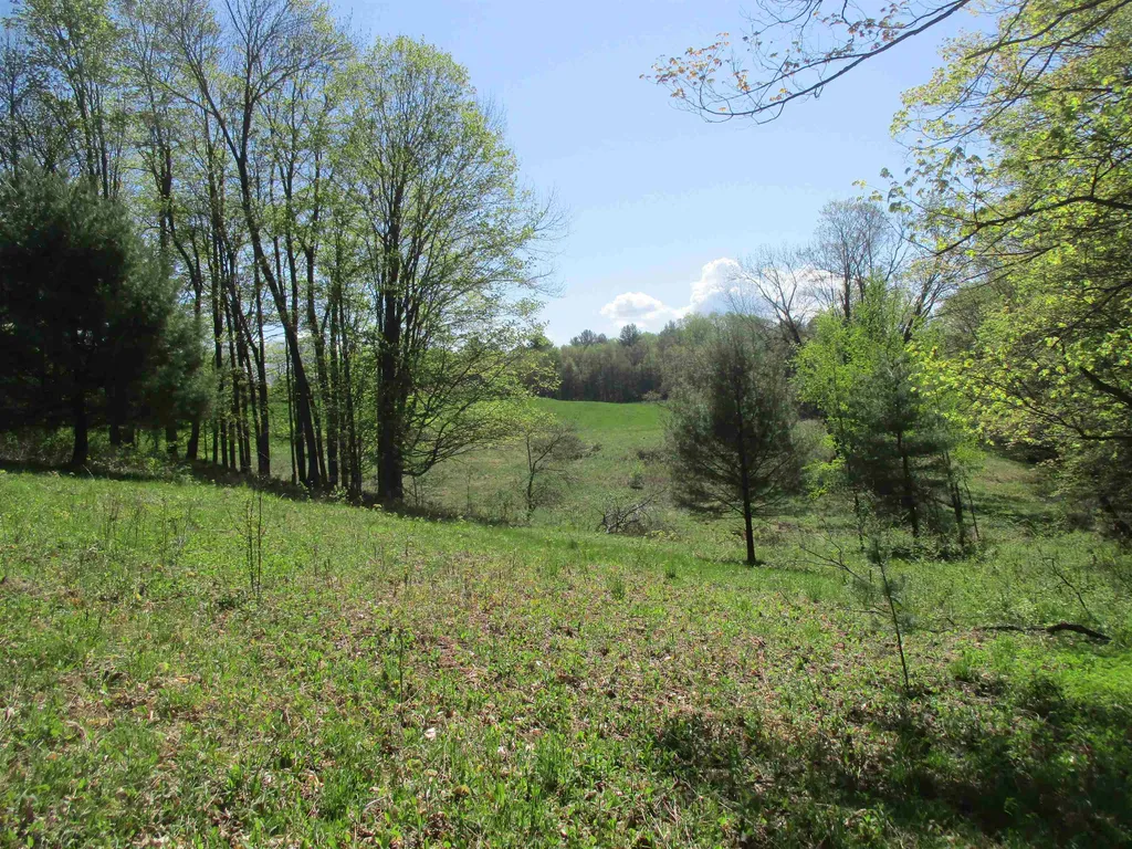 0 Momsen Road Tunbridge VT 05077