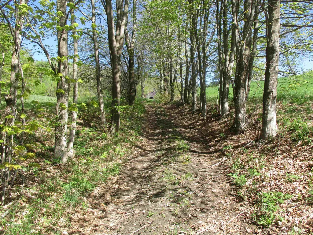 0 Momsen Road Tunbridge VT 05077