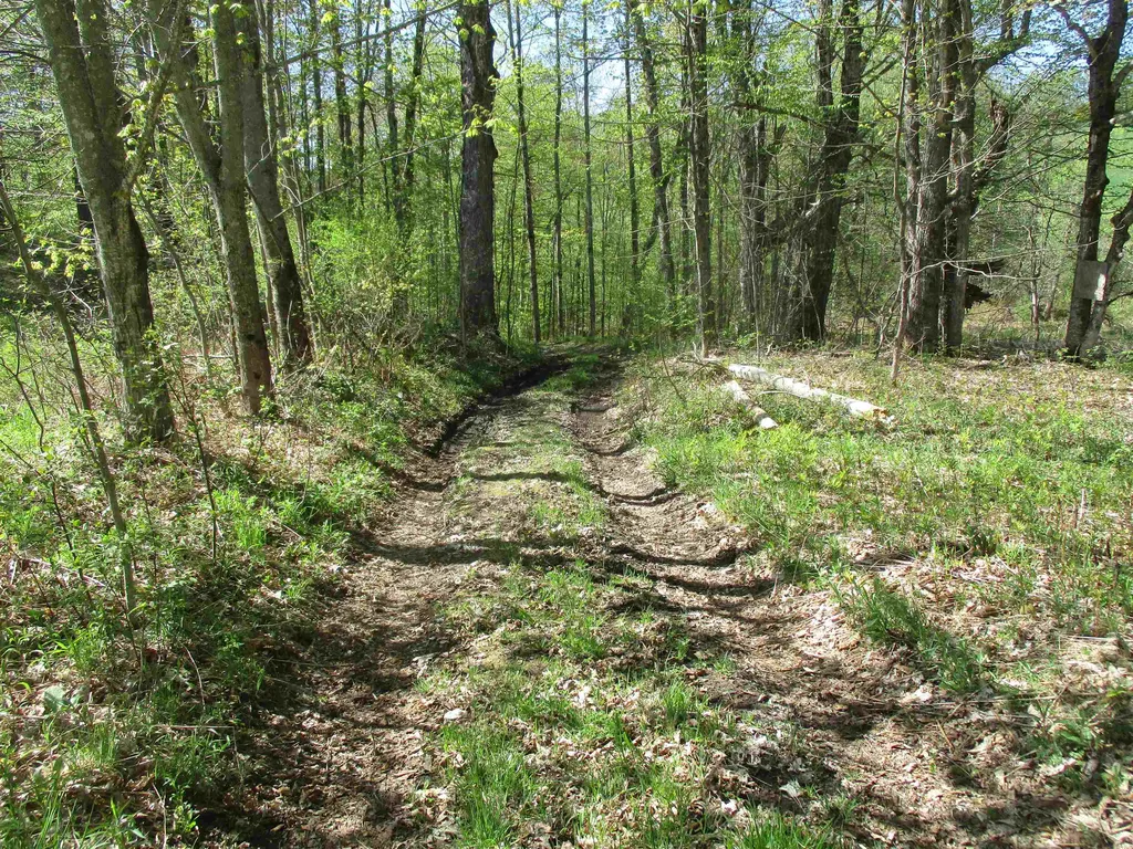 0 Momsen Road Tunbridge VT 05077