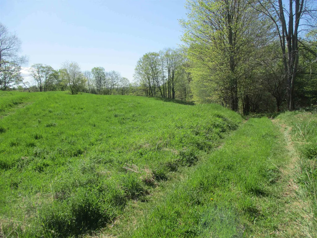 0 Momsen Road Tunbridge VT 05077
