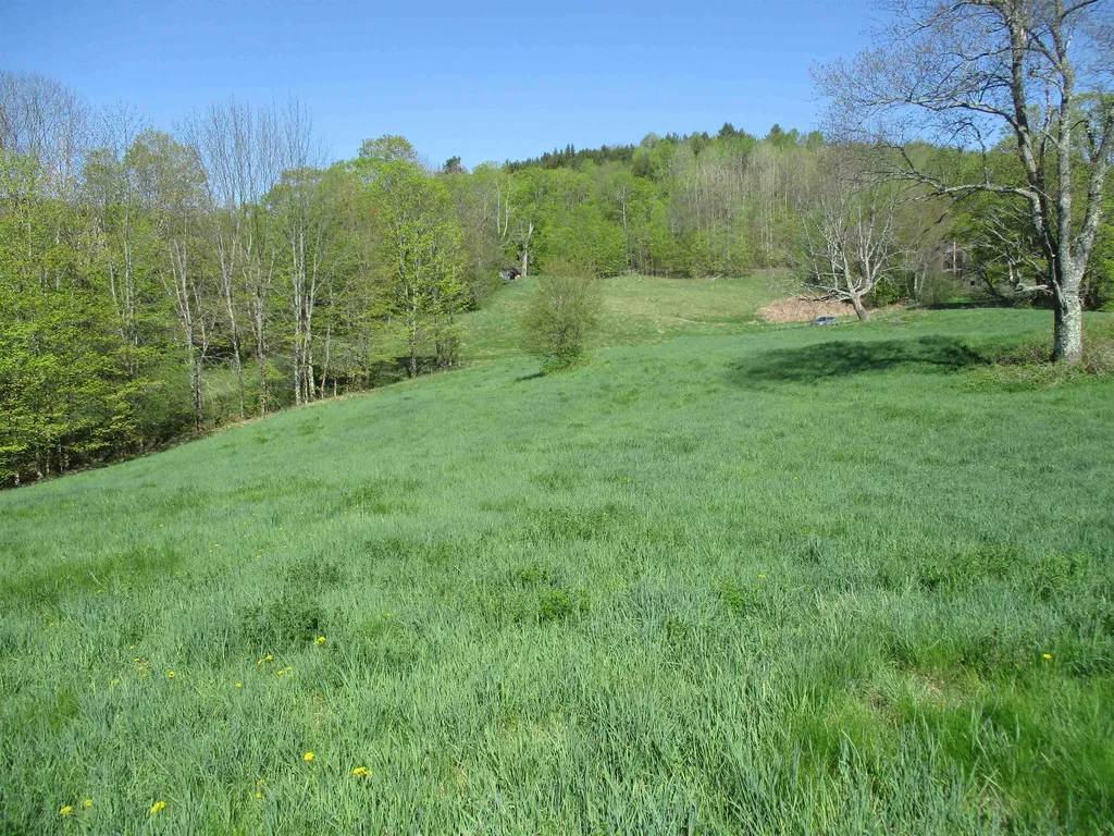 0 Momsen Road Tunbridge VT 05077