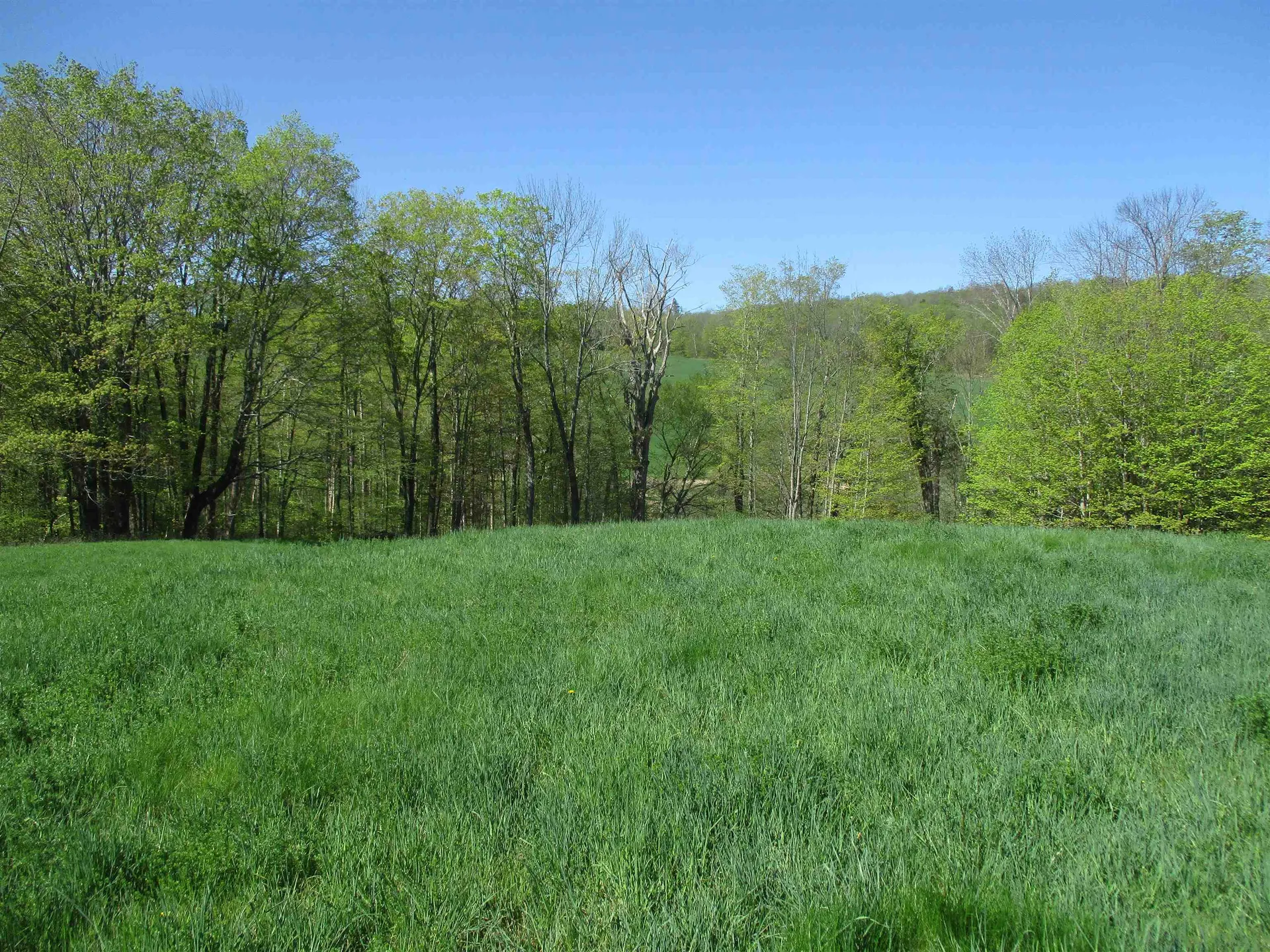 0 Momsen Road Tunbridge VT 05077