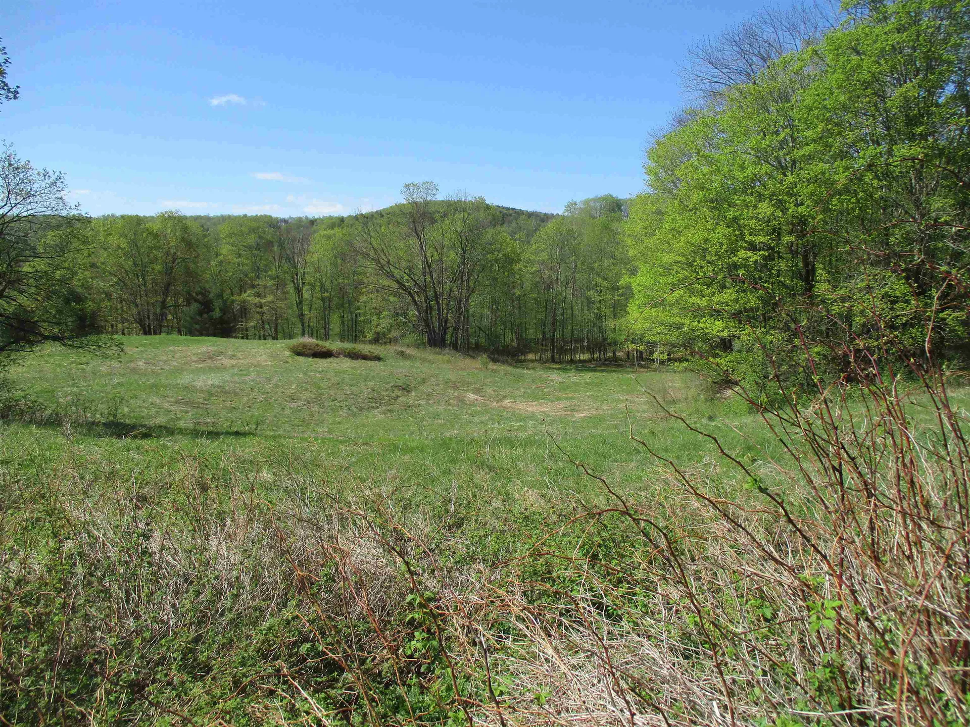 0 Momsen Road Tunbridge VT 05077