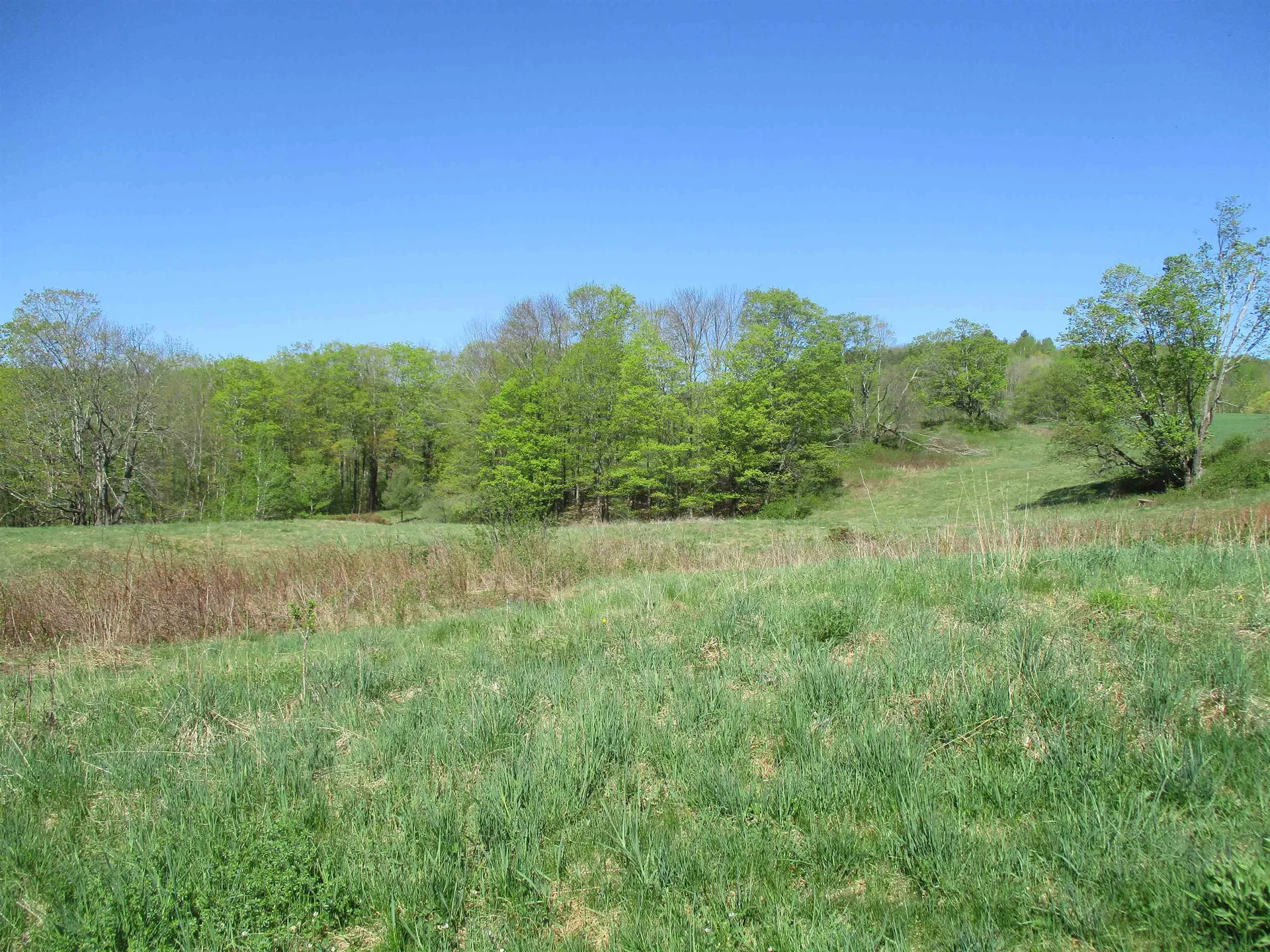 0 Momsen Road Tunbridge VT 05077