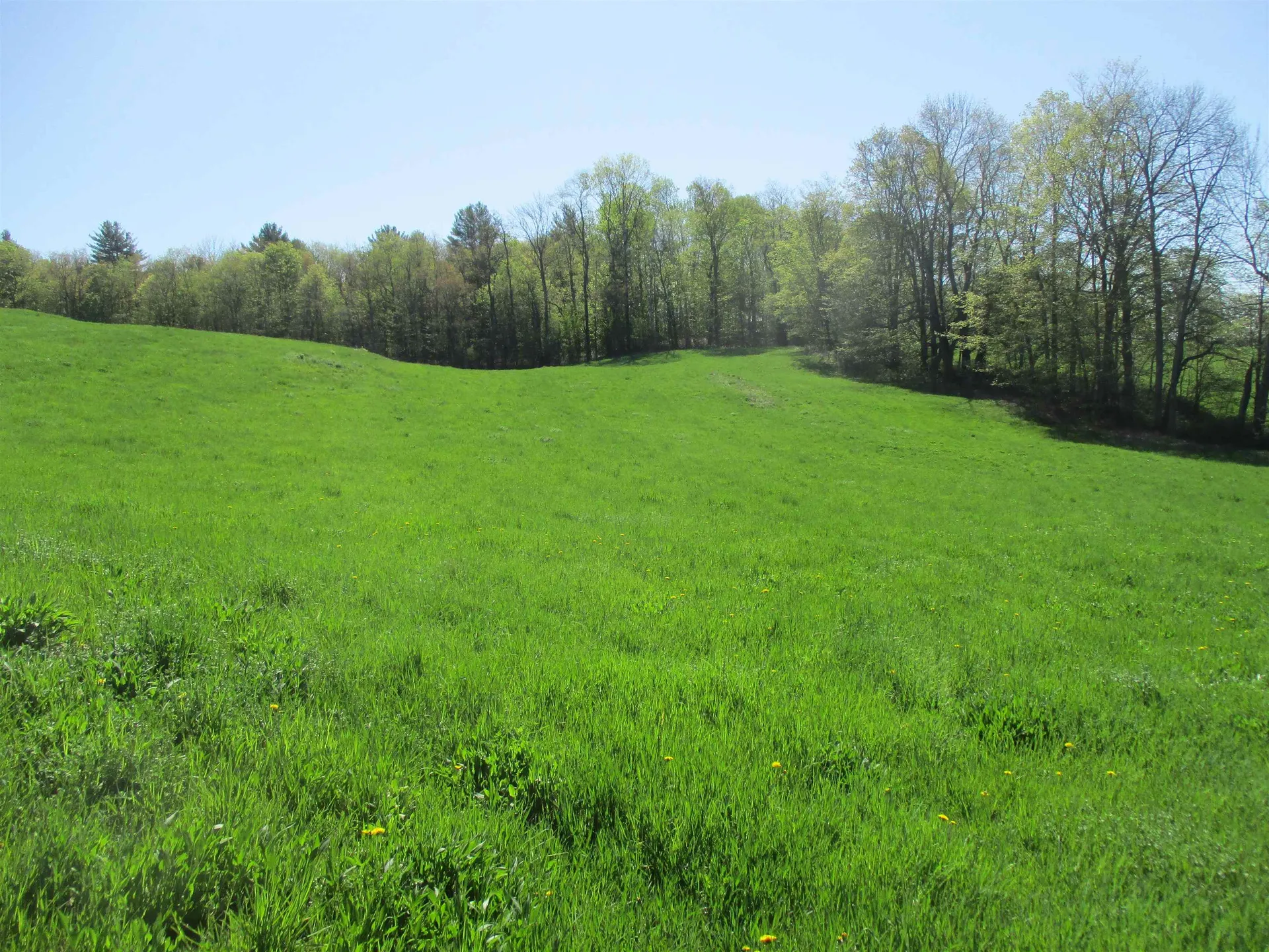 0 Momsen Road Tunbridge VT 05077