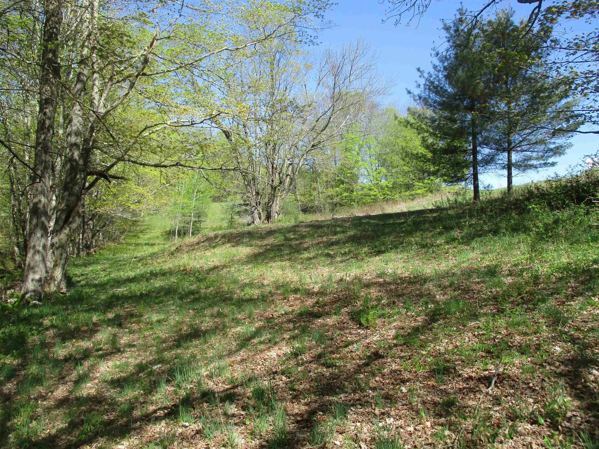 0 Momsen Road Tunbridge VT 05077
