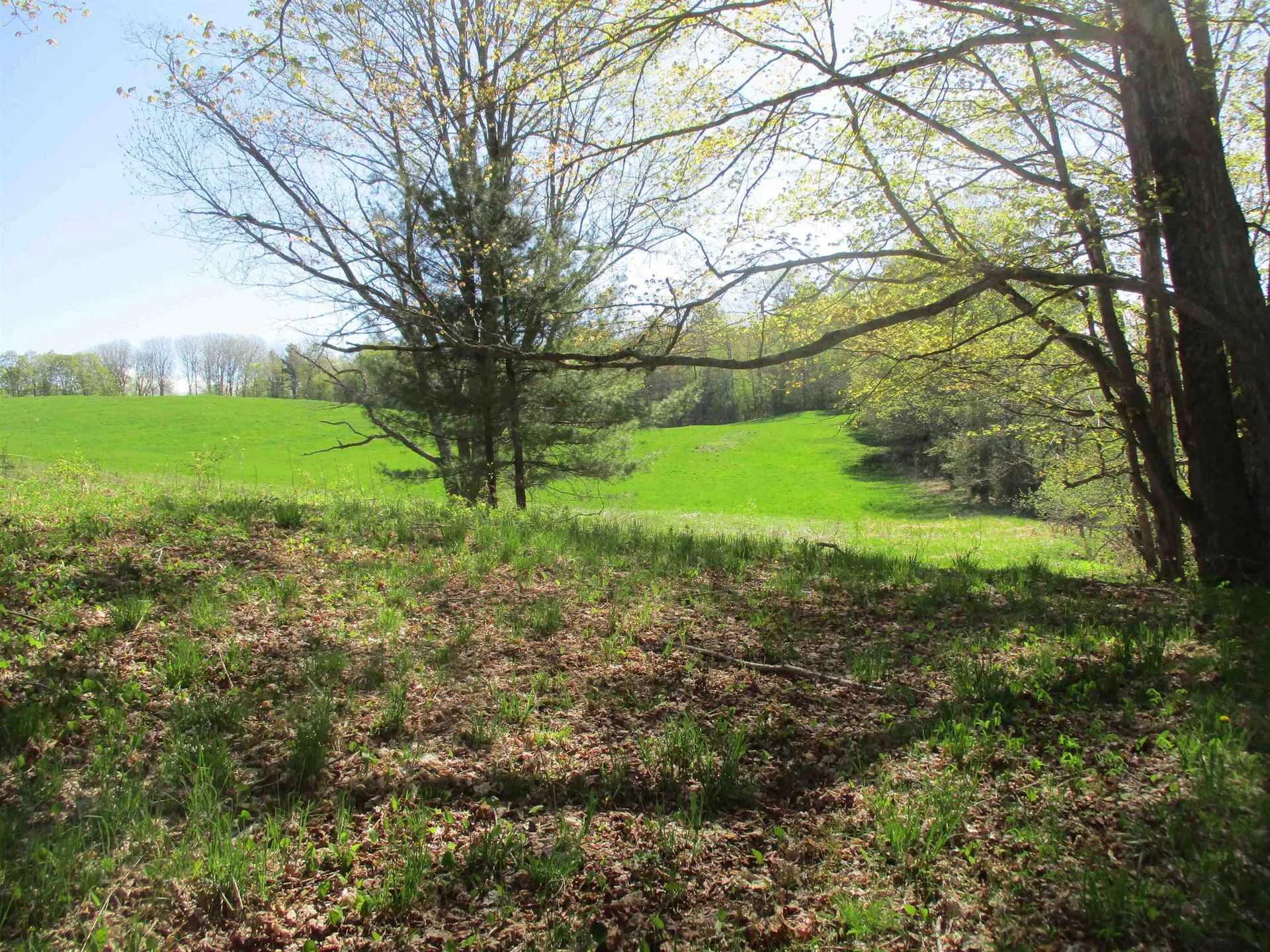 0 Momsen Road Tunbridge VT 05077