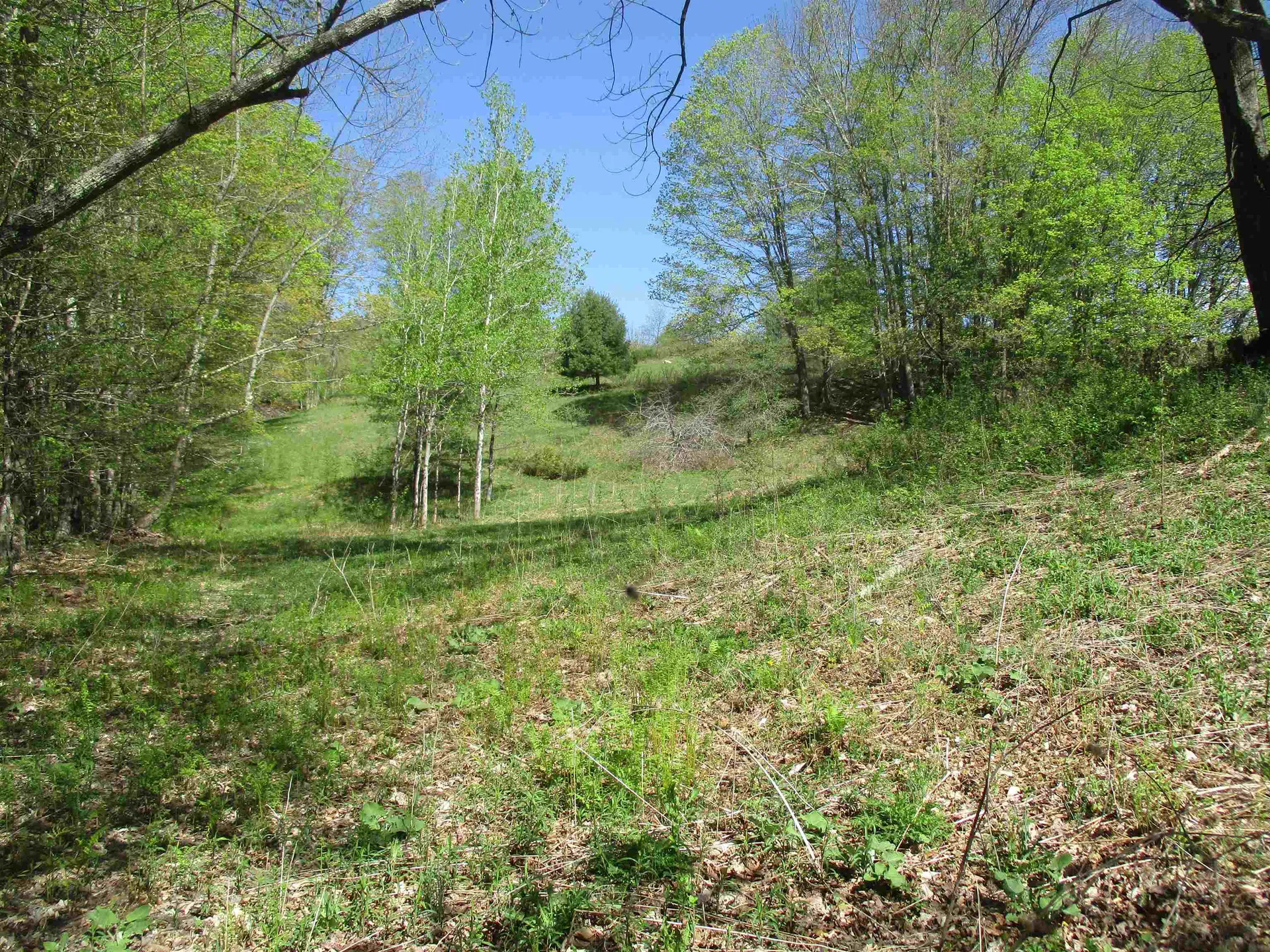 0 Momsen Road Tunbridge VT 05077