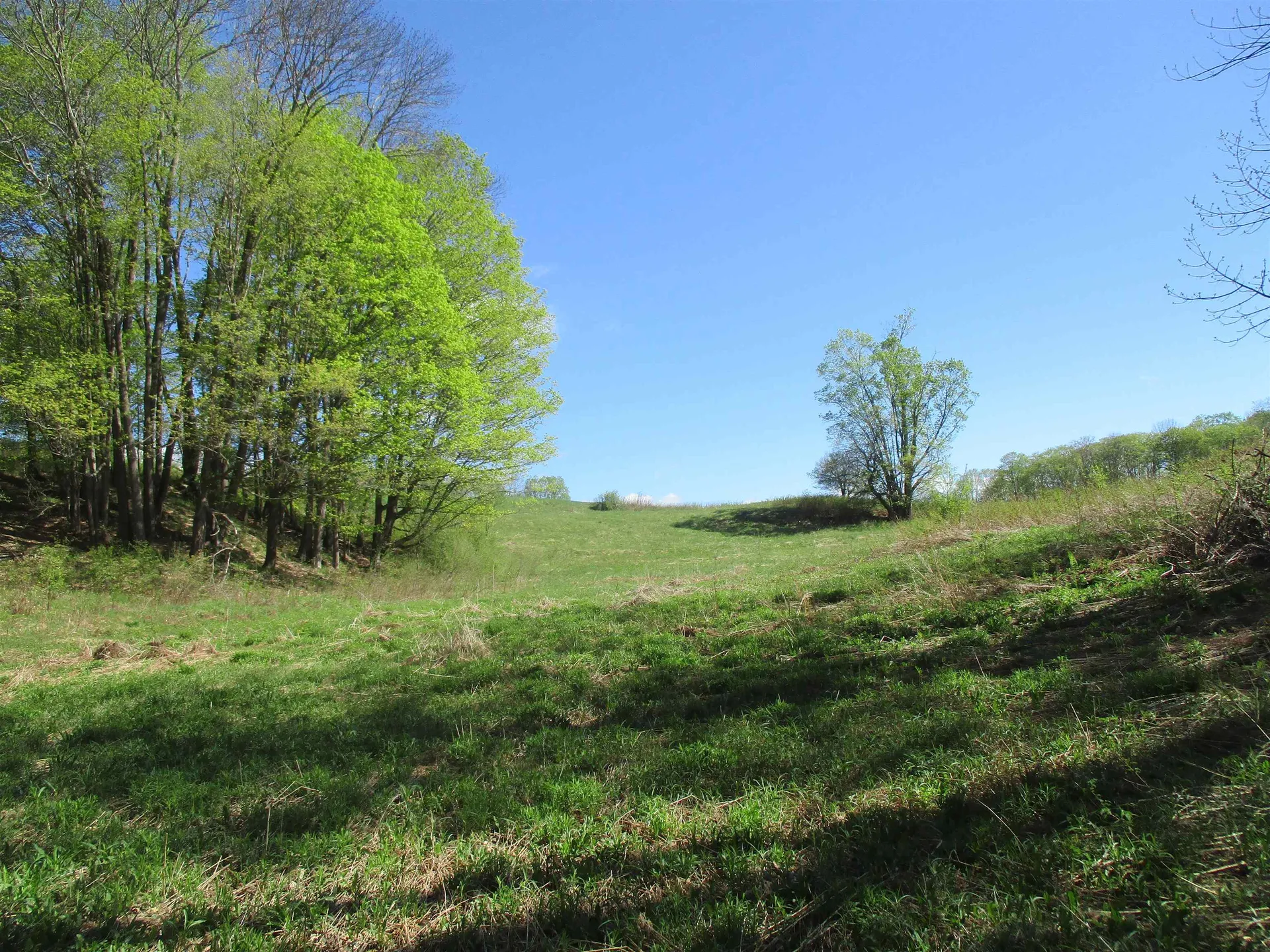 0 Momsen Road Tunbridge VT 05077