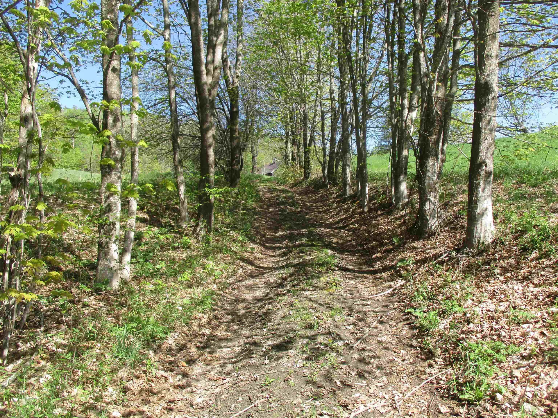 0 Momsen Road Tunbridge VT 05077