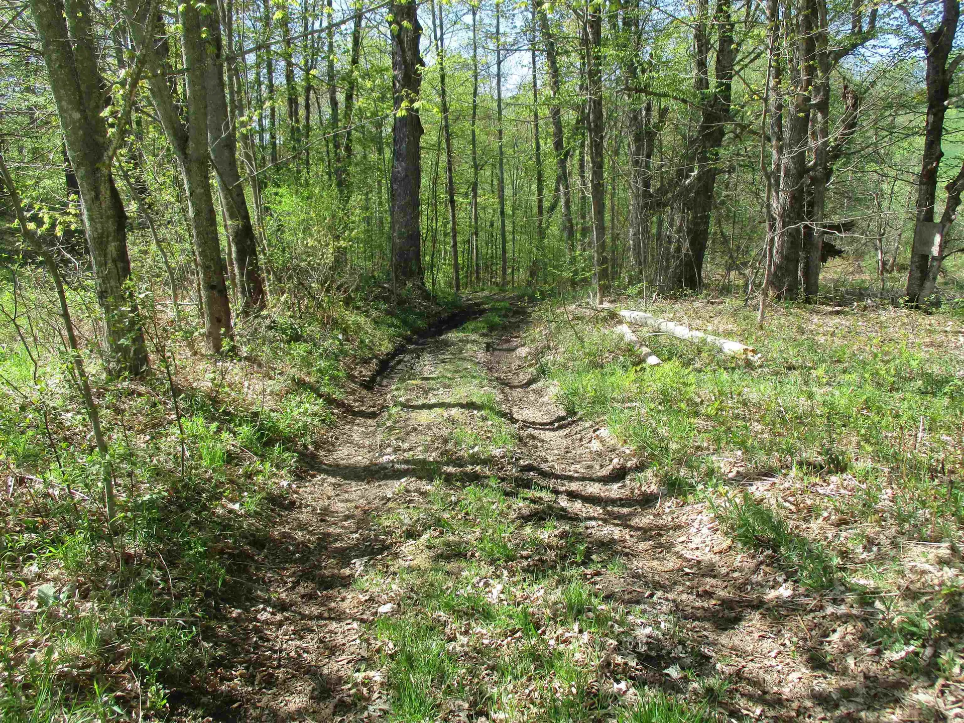 0 Momsen Road Tunbridge VT 05077