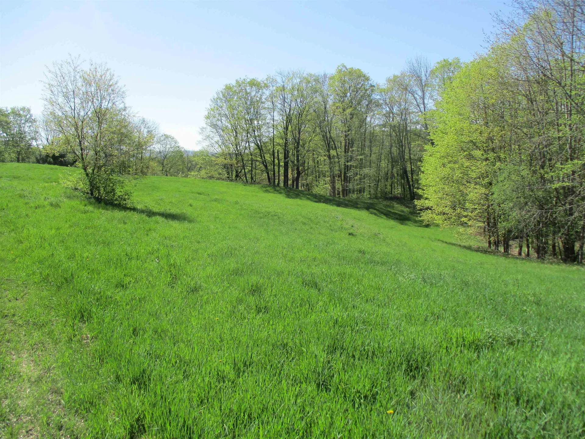 0 Momsen Road Tunbridge VT 05077
