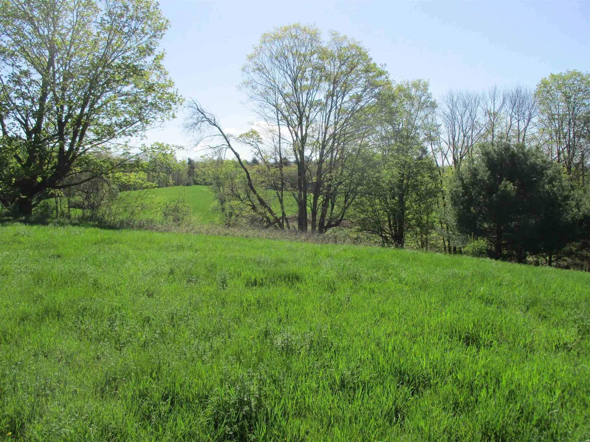 0 Momsen Road Tunbridge VT 05077