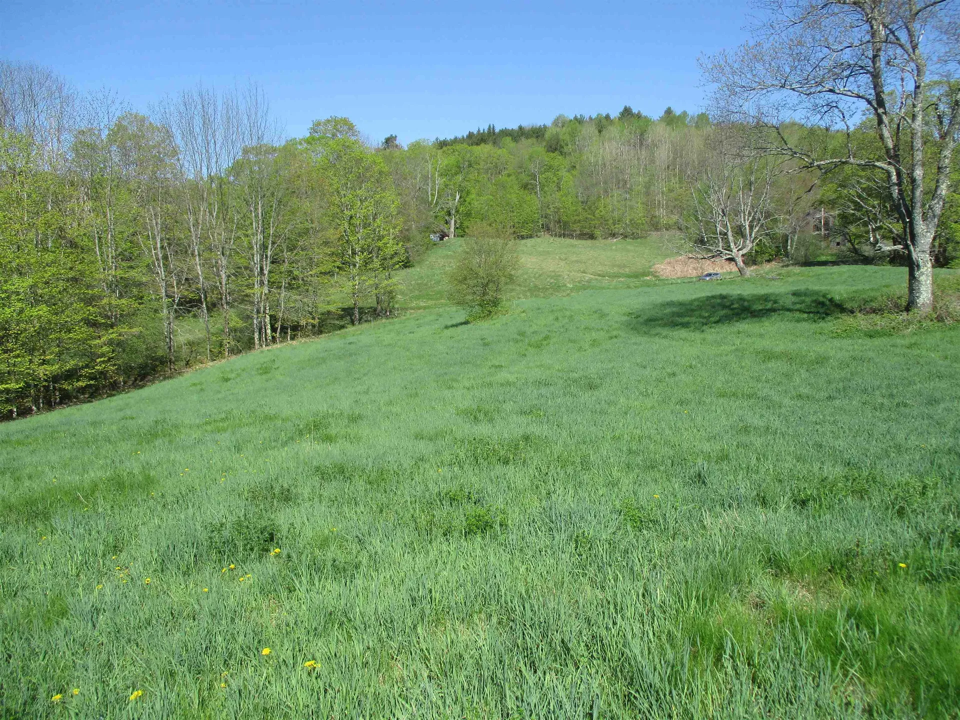 0 Momsen Road Tunbridge VT 05077
