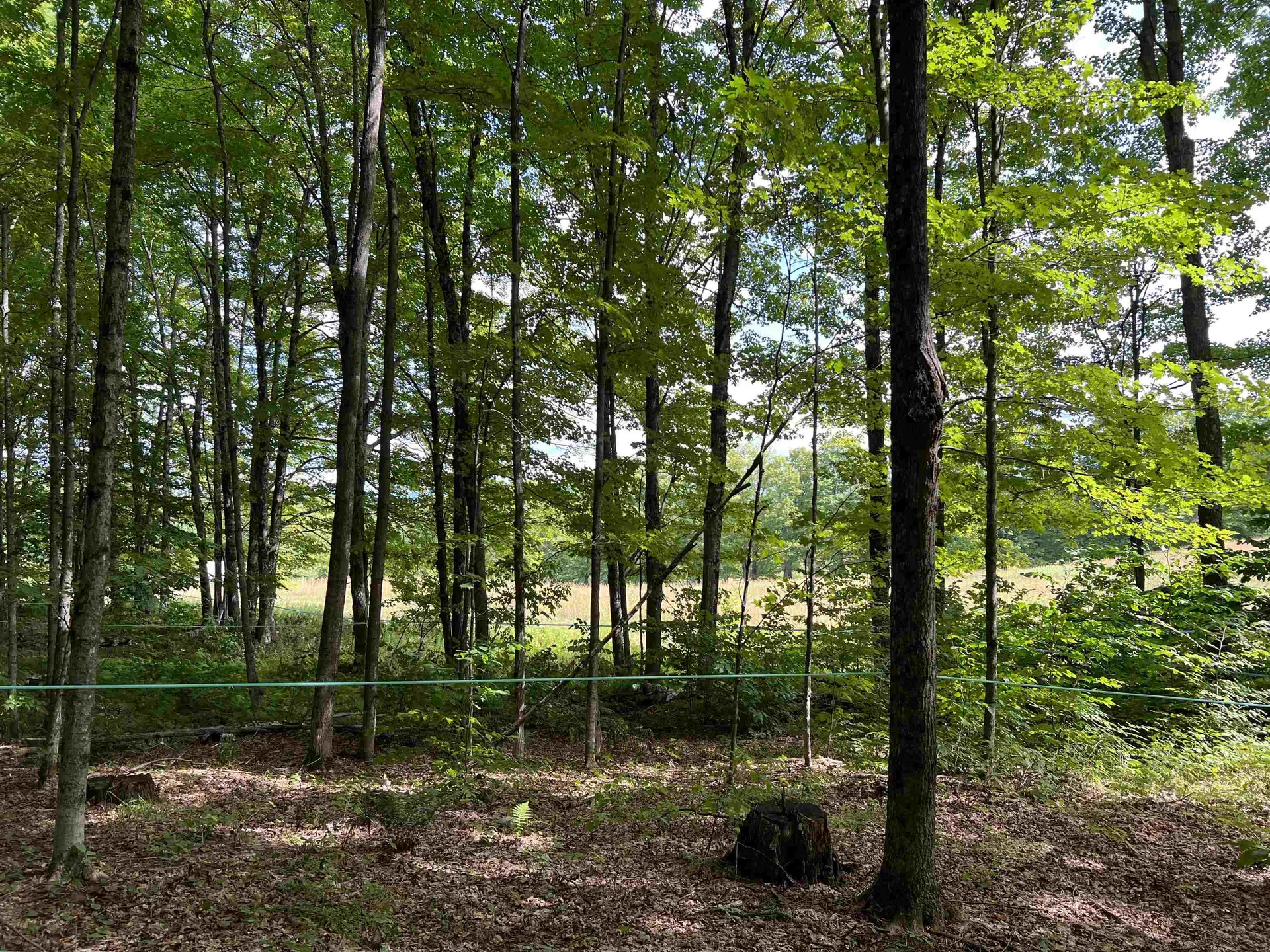 00 Advent Hill Road Hartland VT 05048