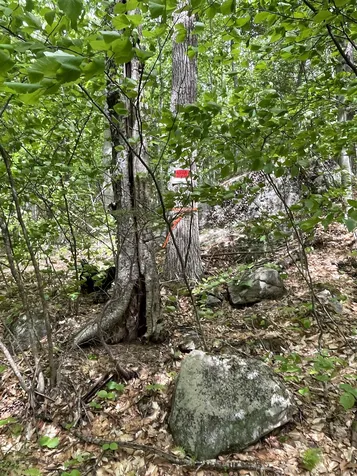 Lot 1 Old Roxbury Road Meredith NH 03253