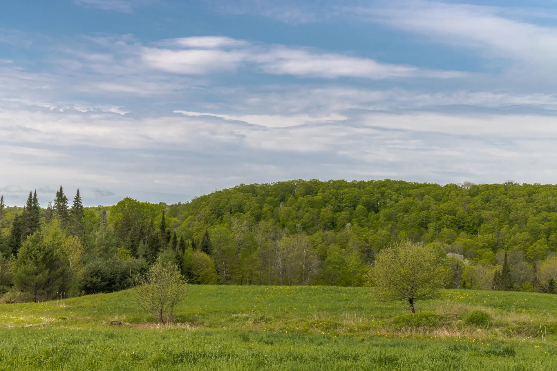1 Bobbinshop Road Chelsea VT 05038