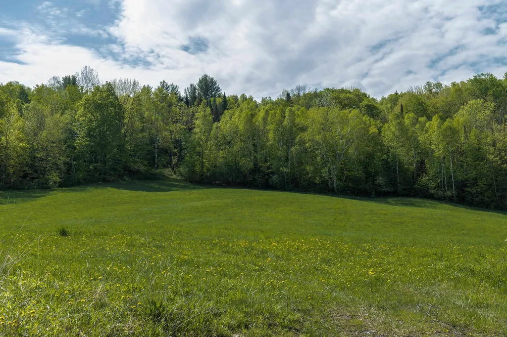 3 Bobbinshop Road Chelsea VT 05038