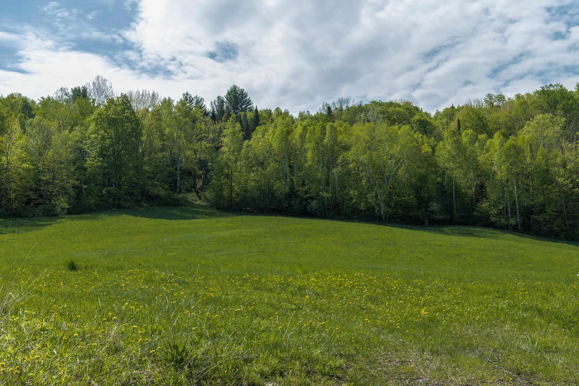 3 Bobbinshop Road Chelsea VT 05038
