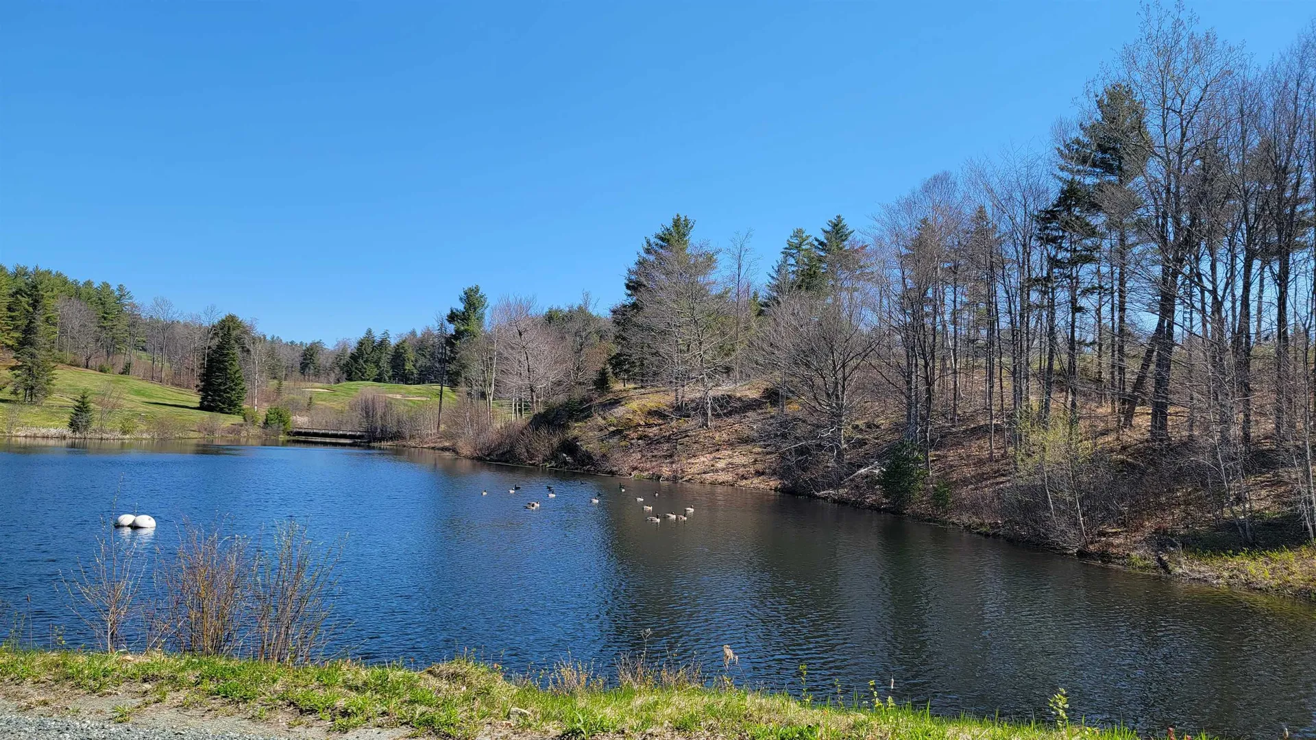 161 Smith Pond Road Enfield NH 03748