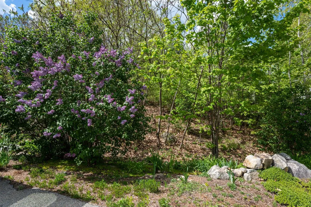 17 Whitten Road Milford NH 03055