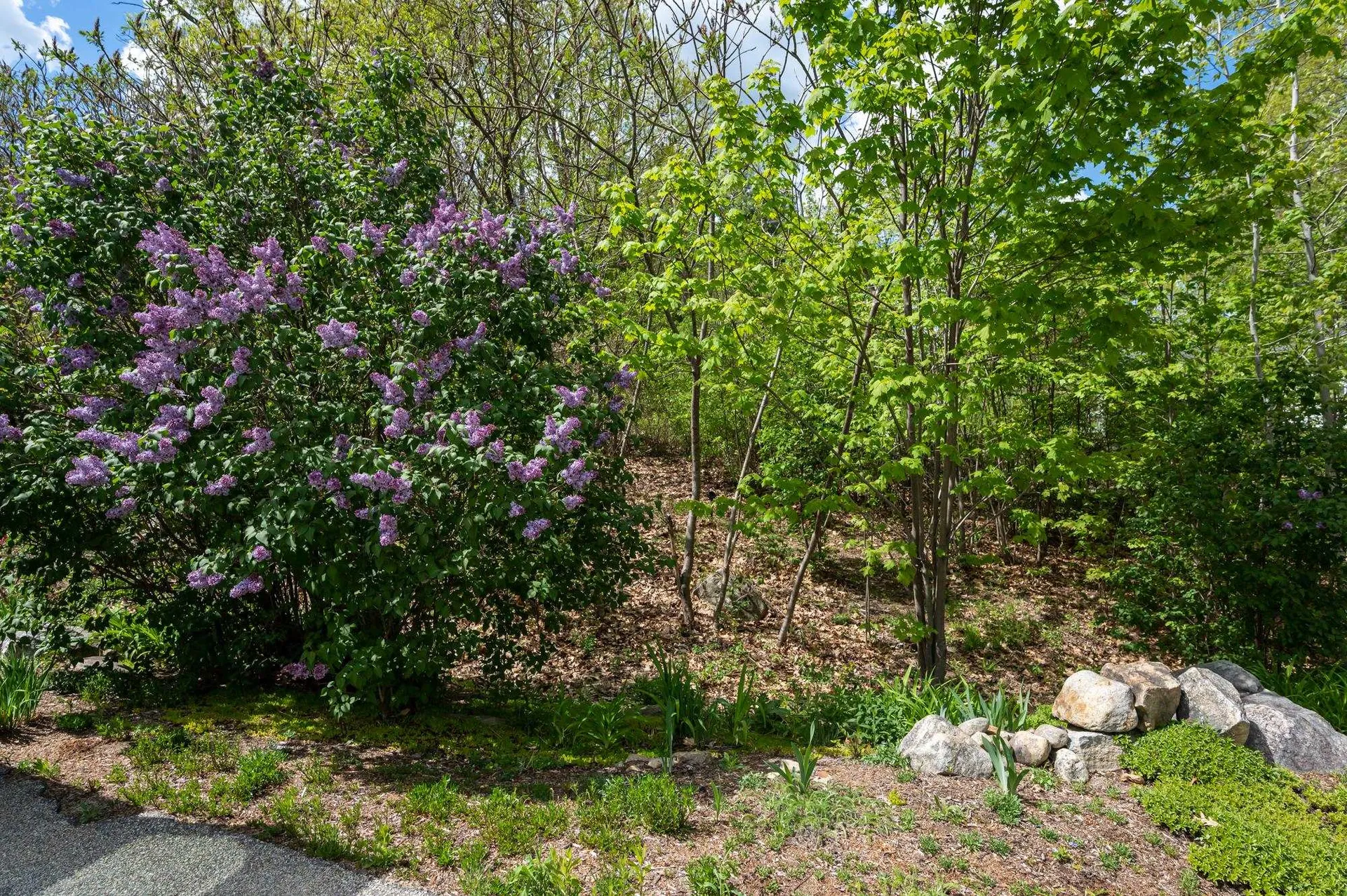 17 Whitten Road Milford NH 03055