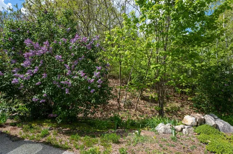 17 Whitten Road Milford NH 03055