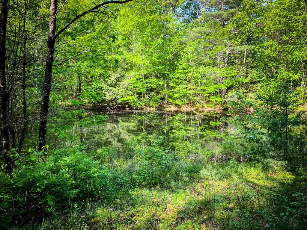 251 South Road Sullivan NH 03445