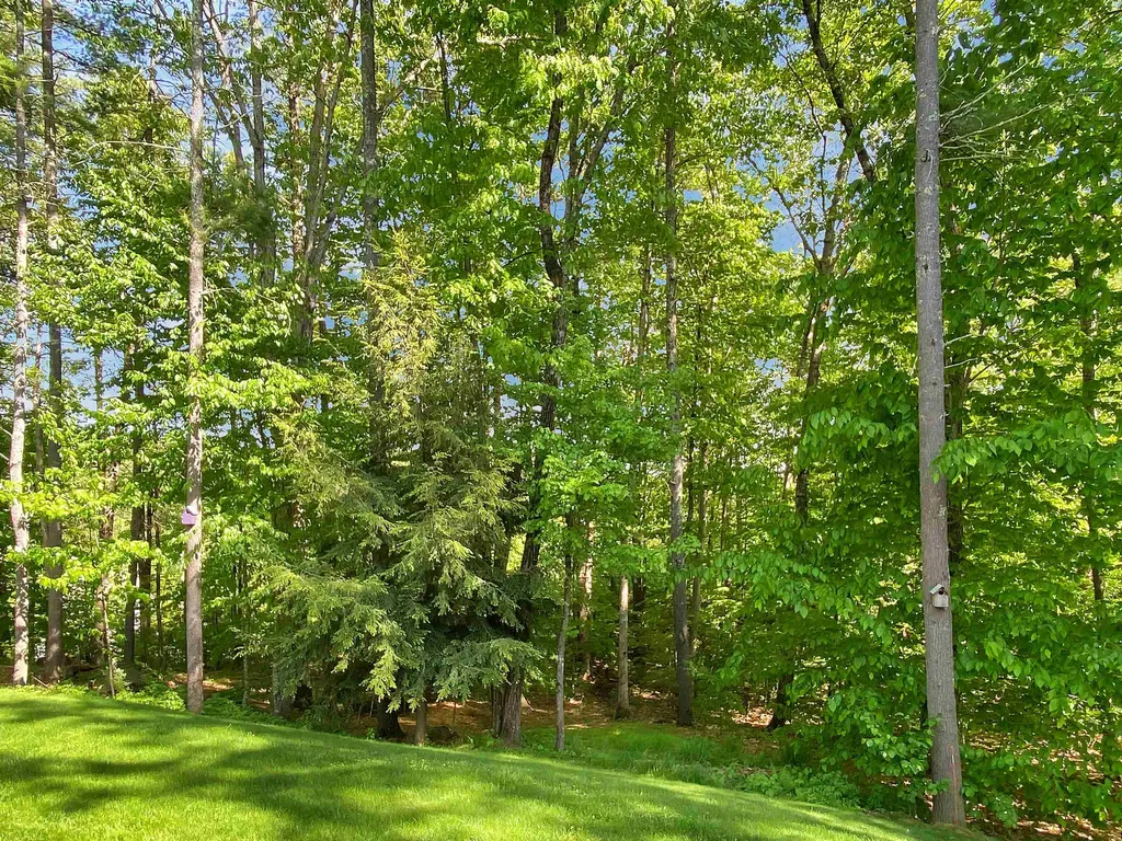 19 Ames Road Brookline NH 03033
