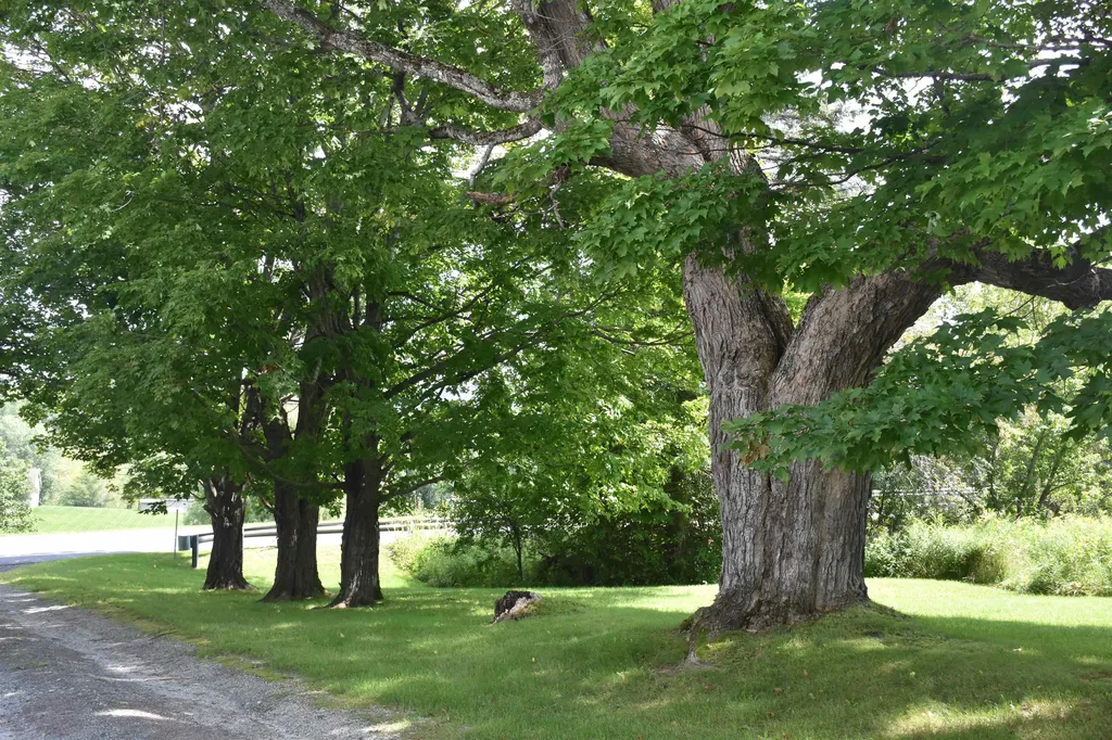 76 Washington Road Barre Town VT 05649