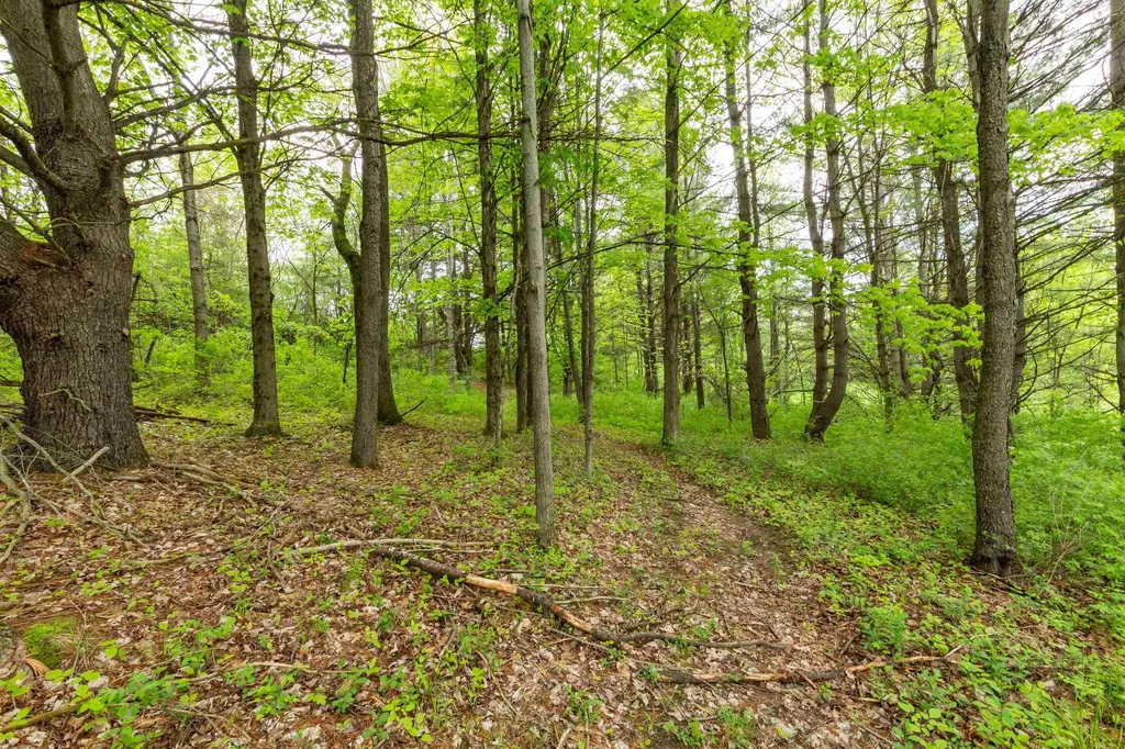 137 Middle Road Salisbury VT 05769