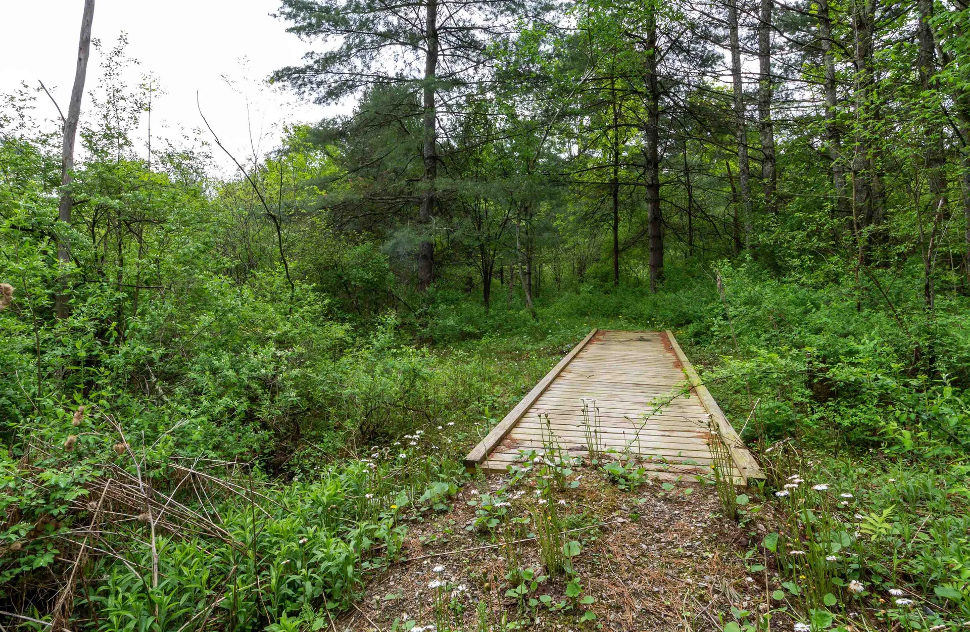 137 Middle Road Salisbury VT 05769