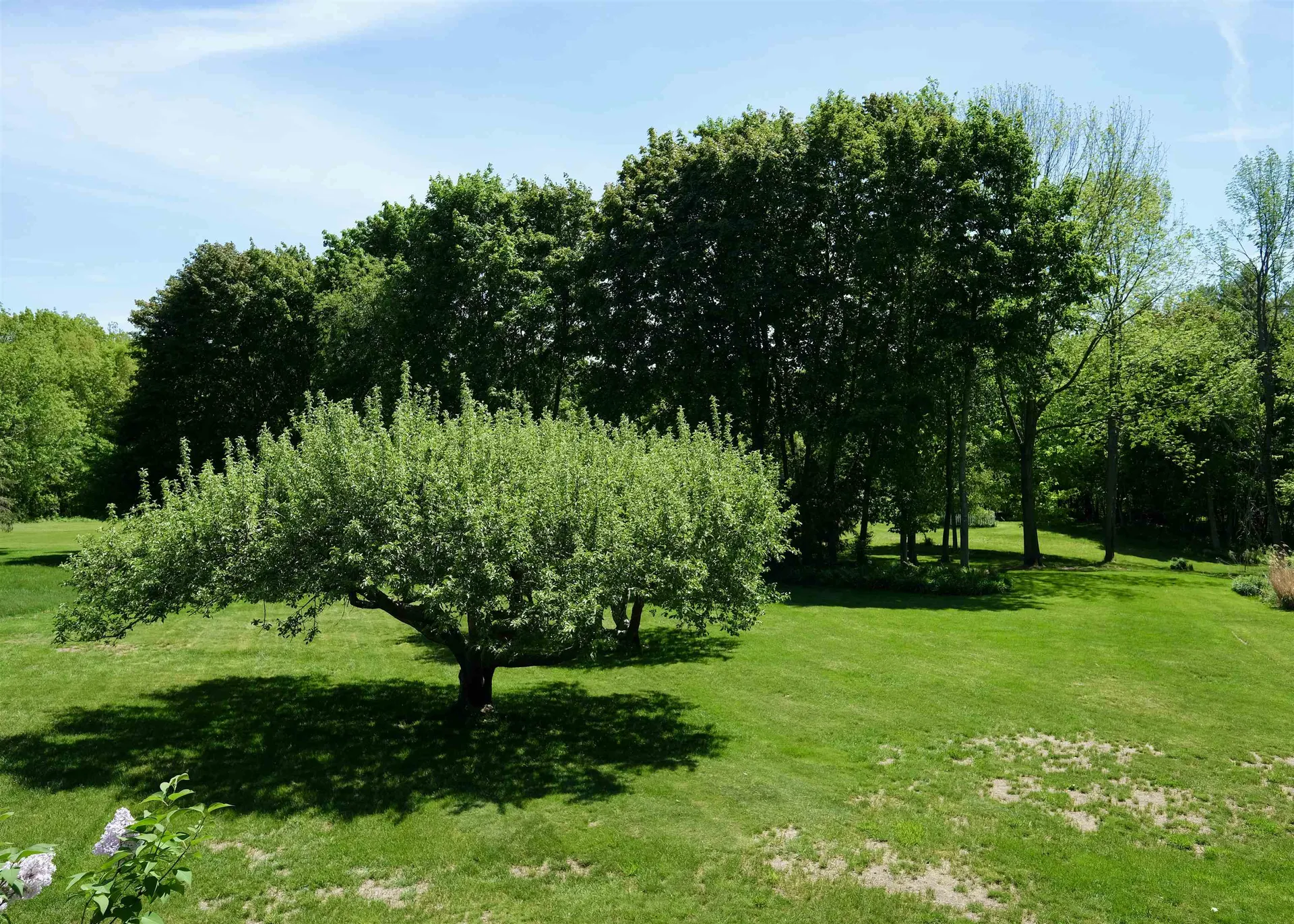 60 Pleasant Street Wolfeboro NH 03894