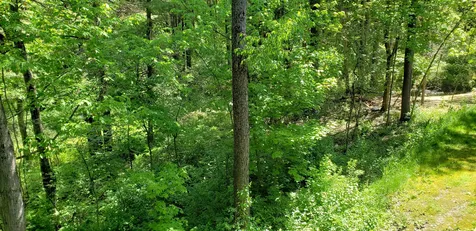 177 Juniper Drive South Burlington VT 05403