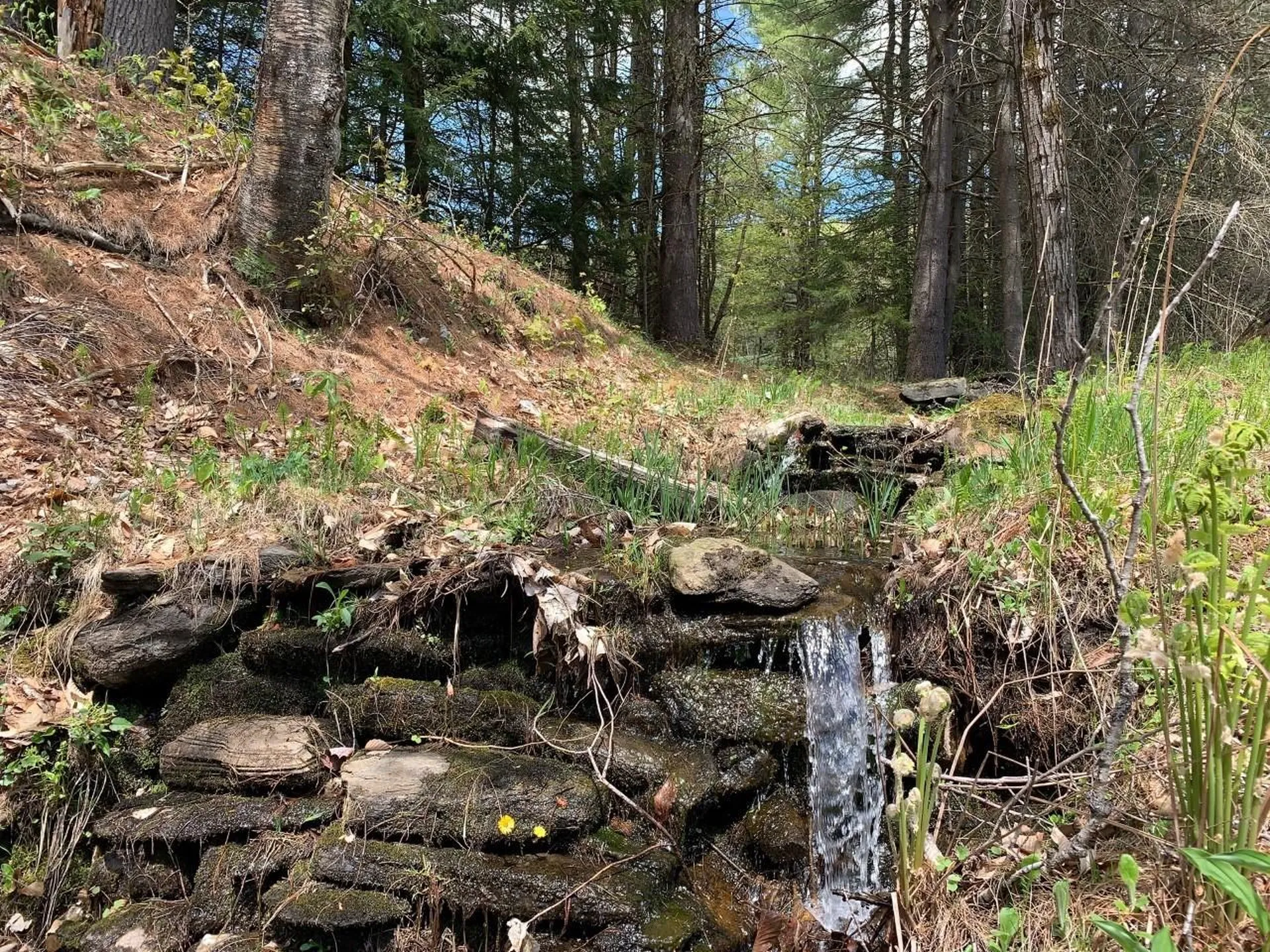 974 East Barnard Road Barnard VT 05031