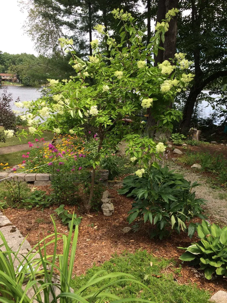 206 Varney Road Barnstead NH 03225